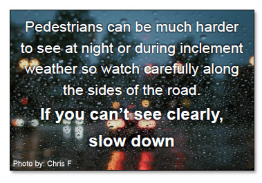 Look for Pedestrians Everywhere